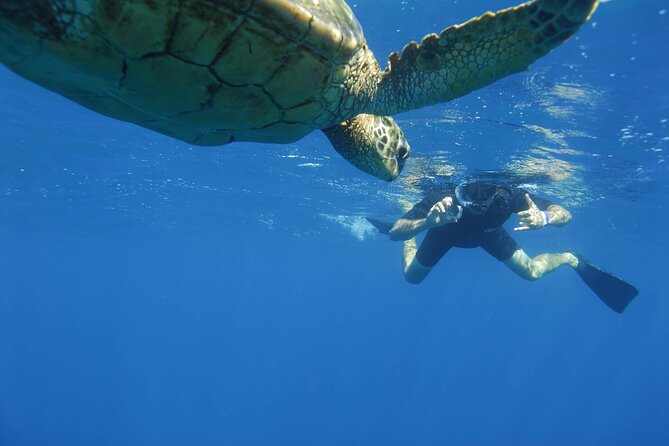 Kauais Ultimate Guided Snorkeling Adventure No Boat Ride