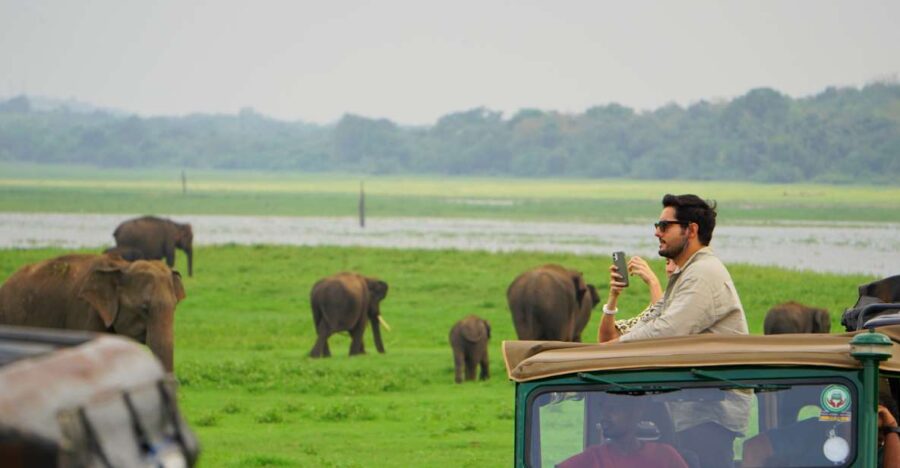 Kaudulla National Park Half Day Private Safari Adventure