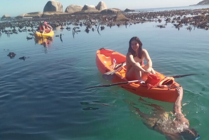 Kayak Adventure at Clifton Beach - Meeting and Pickup Details