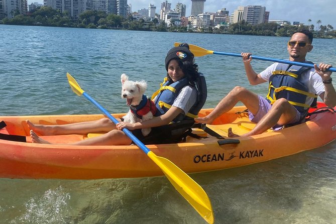 18 Best Canoe And Kayak Experiences In Puerto Rico