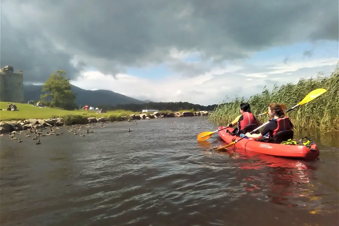 Kayak the Killarney Lakes From Ross Castle. Killarney. Guided. 2 Hours.
