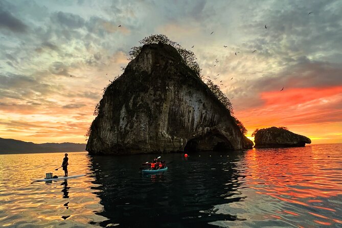Kayaking Bioluminescence Experience