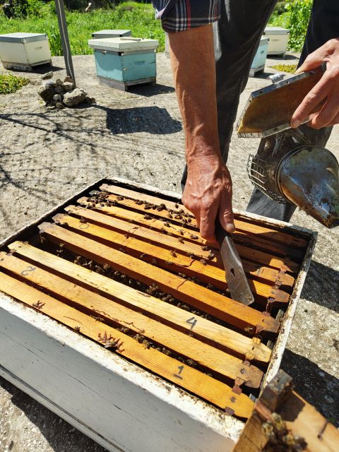 Kefalonia Honey Tour on E-Bikes - Overview of the Kefalonia Honey Tour