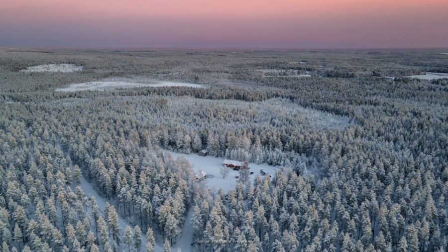 Kemi: Sleddog Husky Safari Incl. Hot Drink