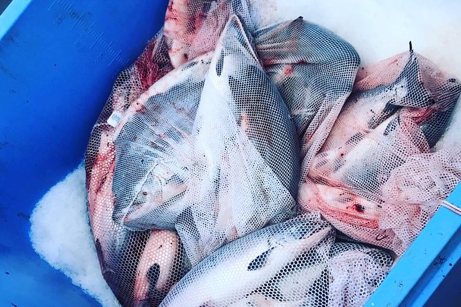 Ketchikan Fishing Charter - Meeting and Pickup Options