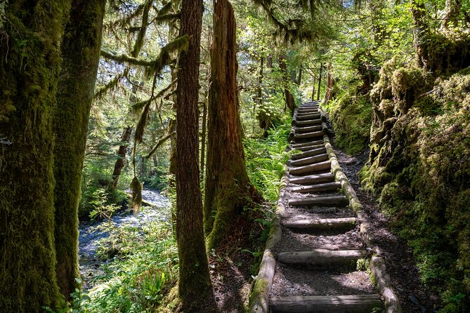 Ketchikan Magical Old-Growth Creek Trek Guided Tour