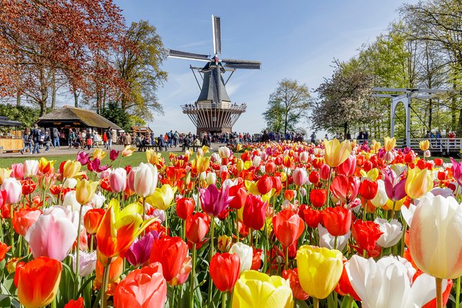 Keukenhof Gardens & Tulip Experience Guided Tour From Amsterdam - Keukenhof Gardens Overview