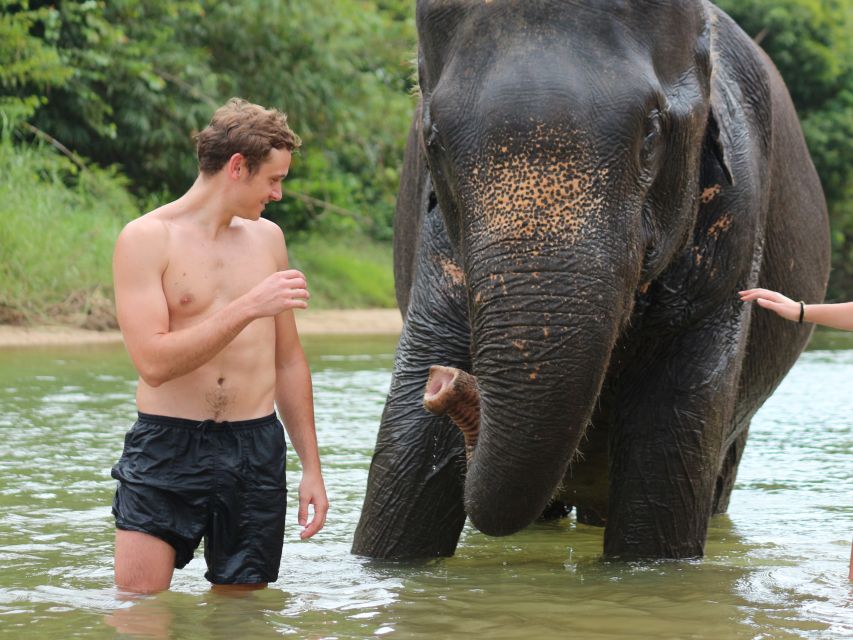 Khao Lak: Elephant Bathing and Feeding Tour