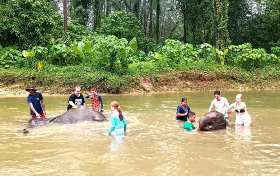 Khao Lak: Elephant Sanctuary Guided Tour - Tour Overview