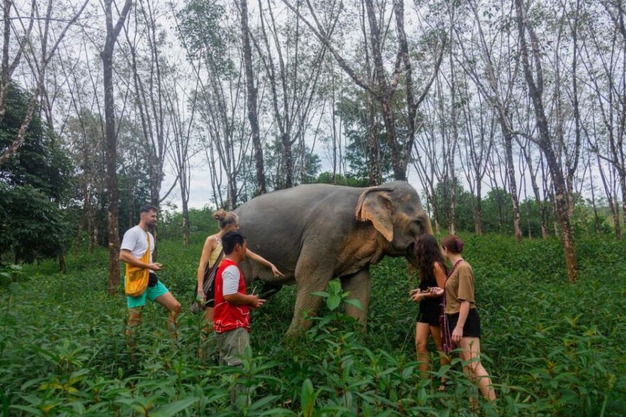 7 Best Walking Tours In Khao Lak