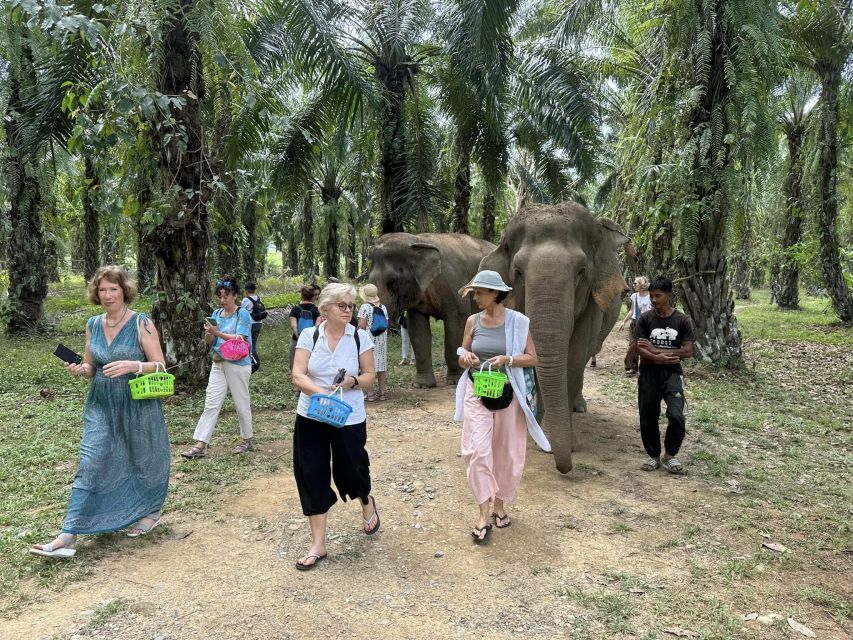 Khao Lak: Khao Sok Elephant Sanctuary and Night Jungle Walk - Tour Overview and Details