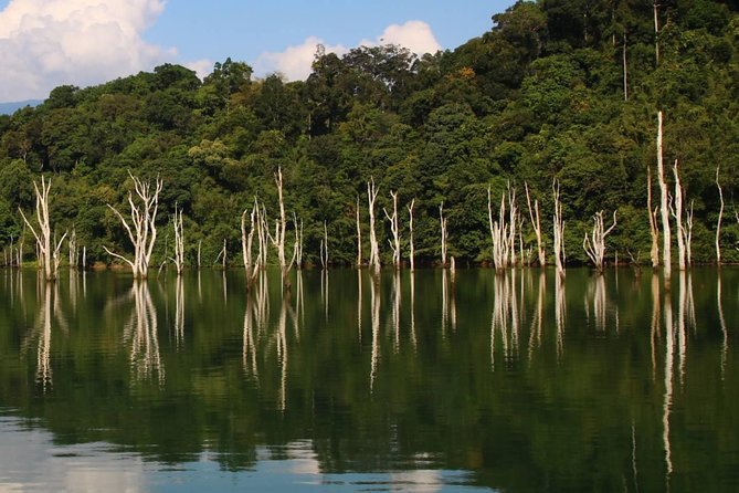 Khao Sok Wildlife 2 Days