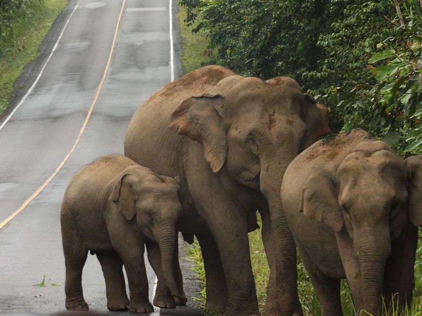Khao Yai National Park: 2-Day Private Tour From Bangkok - Tour Overview