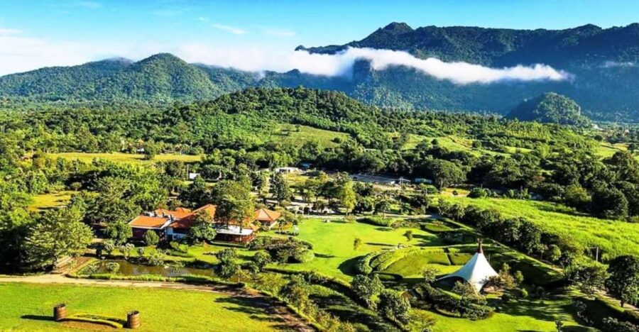 Khao Yai Vineyard Tasting Tour & Horse Farm Visit - Tour Overview