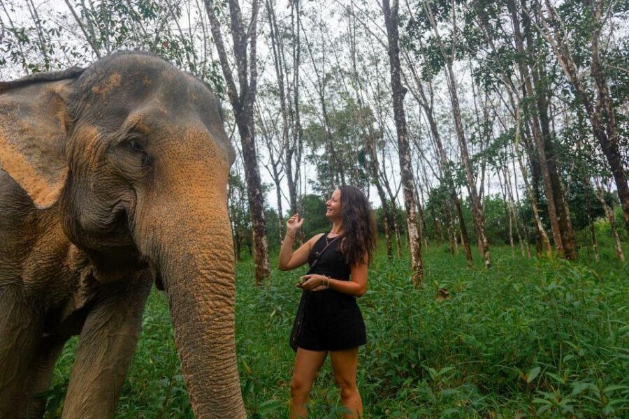 Khaolak: Begin the Day With Elephants - Walk and Feed Tour - Tour Overview and Pricing