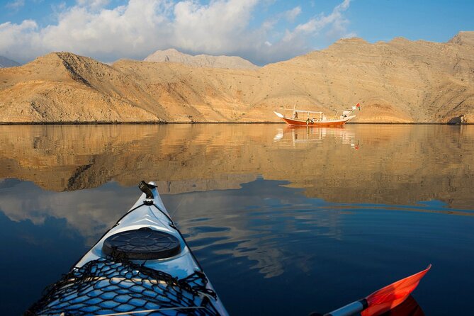 4 Best Dolphin Watching Tours In Khasab