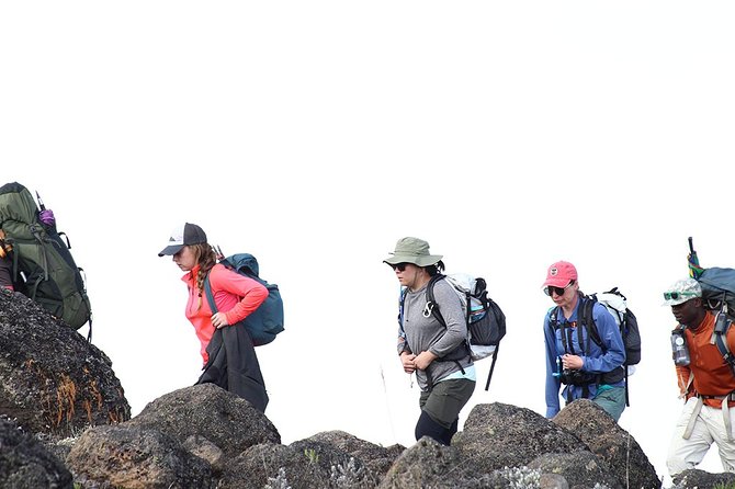 Kilimanjaro Climb- 8 Days Lemosho Route