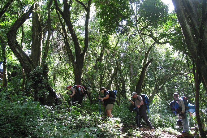 Kilimanjaro Climb • Lemosho Route ~ 12 Day
