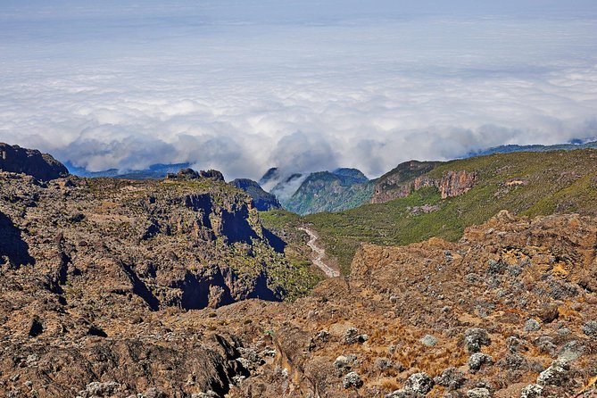 Kilimanjaro Climb, Rongai Route (6-Day)