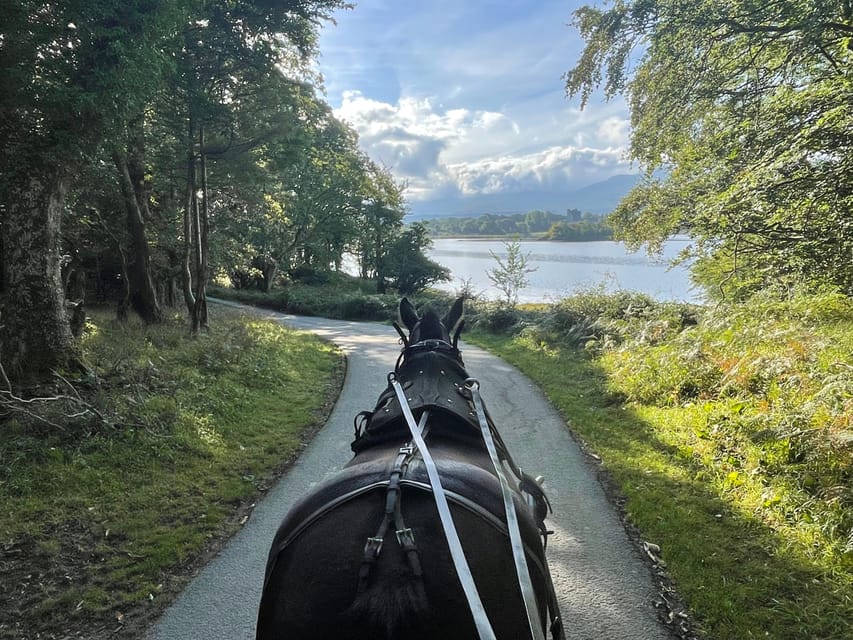 Killarney Carriage Tours National Park and Lakes