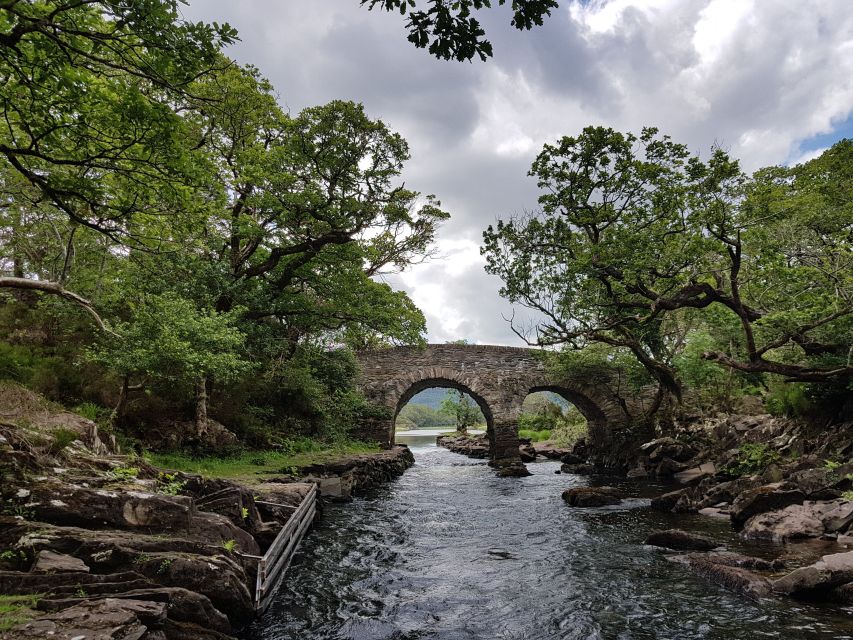 5 Best Cruises And Boat Tours In Kerry