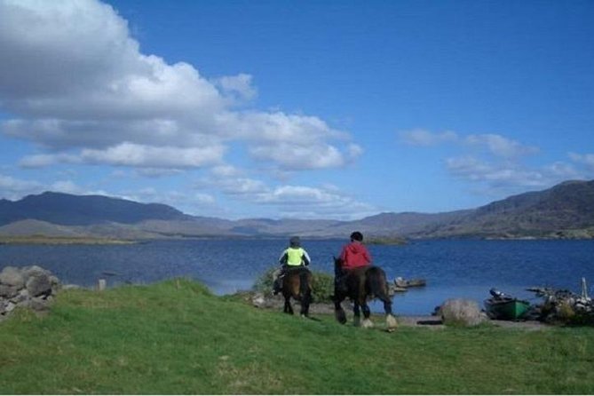 Killarney National Park Horseback Ride. Co Kerry. Guided. 2 Hours.