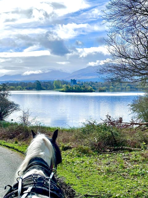 Killarney National Park Tour