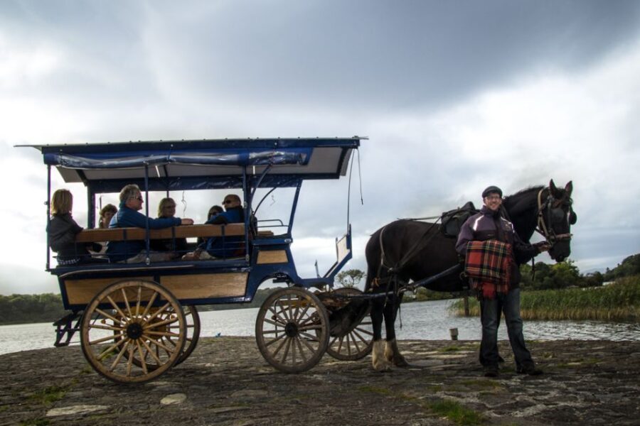 Killarney on Horse & Carriage: 1-Hour Jaunting Car Tour - Tour Overview and Pricing