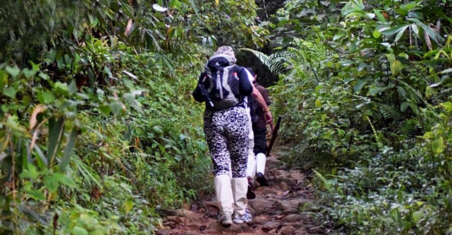 Kitulgala: Private Guided Bird Watching and Trekking Tour - Tour Overview