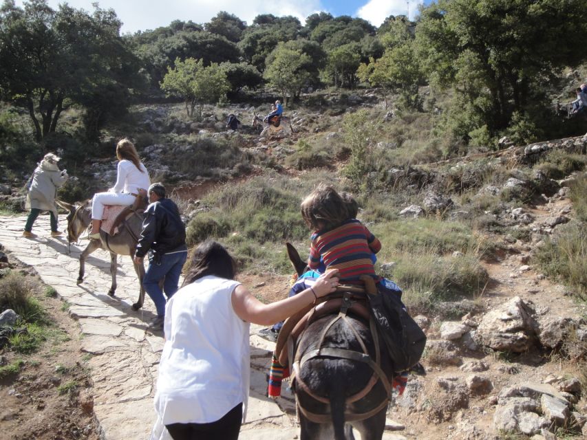 Knossos and Zeus Cave Private Day Tour Starting From Chania