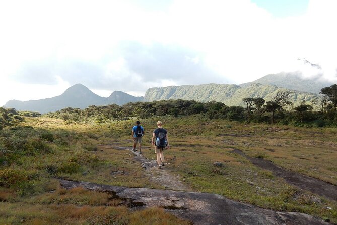 Knuckles Leopard Trail Trek From Kandy - Overview of the Trekking Experience