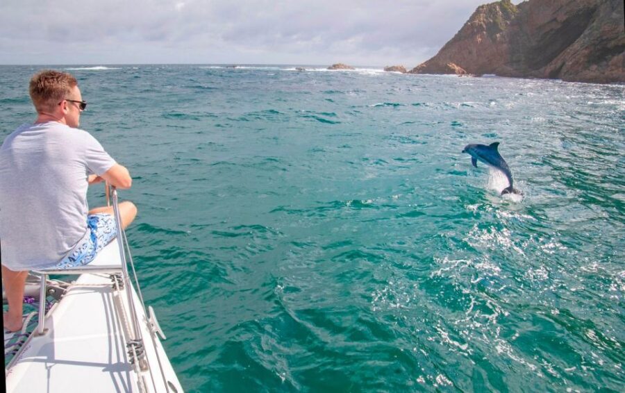 Knysna: #1 Private Scenic Cruise Aboard a Luxury Catamaran