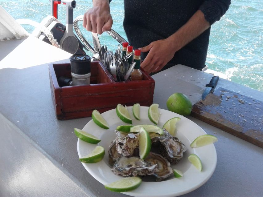 Knysna Lagoon Educational Oyster & White Wine Tasting Cruise