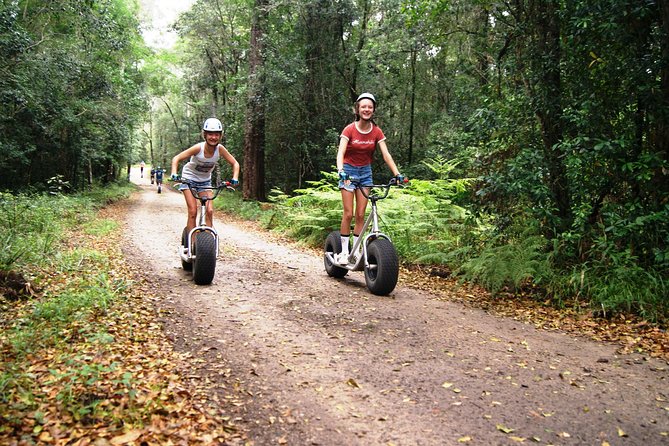 Knysna Scootour