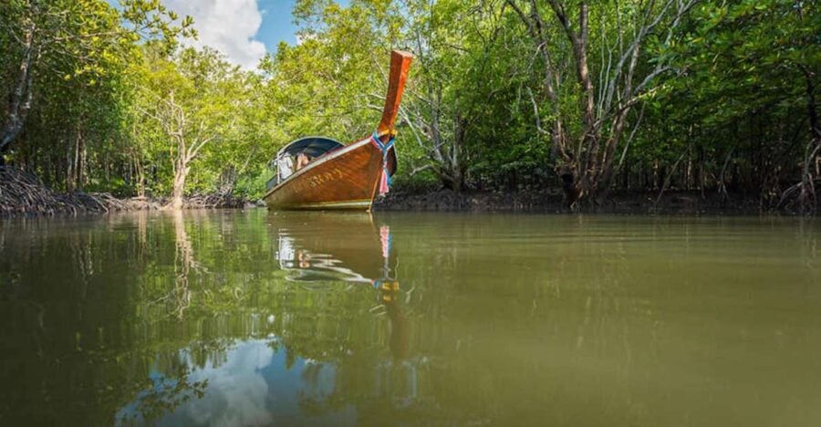 Ko Lanta: Mangrove Tour by Long Tail Boat