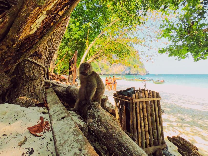 Ko Lanta: Phi Phi Day Trip by Speed Boat