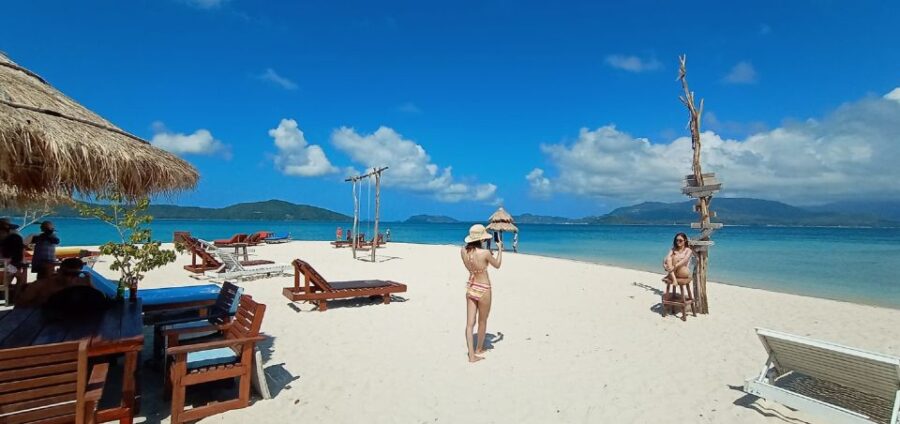 Koh Samui: Coral & Pig Island Longtail Boat Small-Group Tour