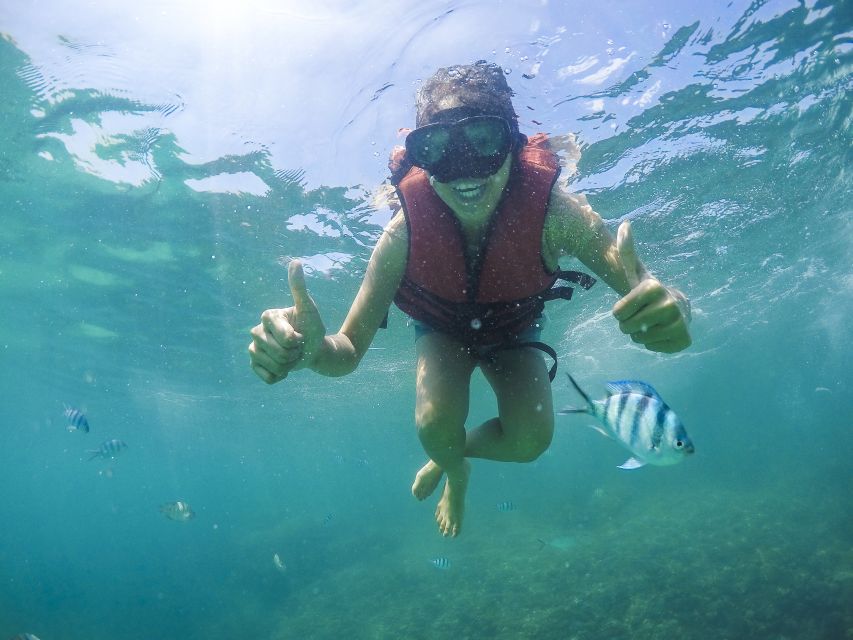 Koh Samui: Pig Island Tour by Speedboat With Snorkeling