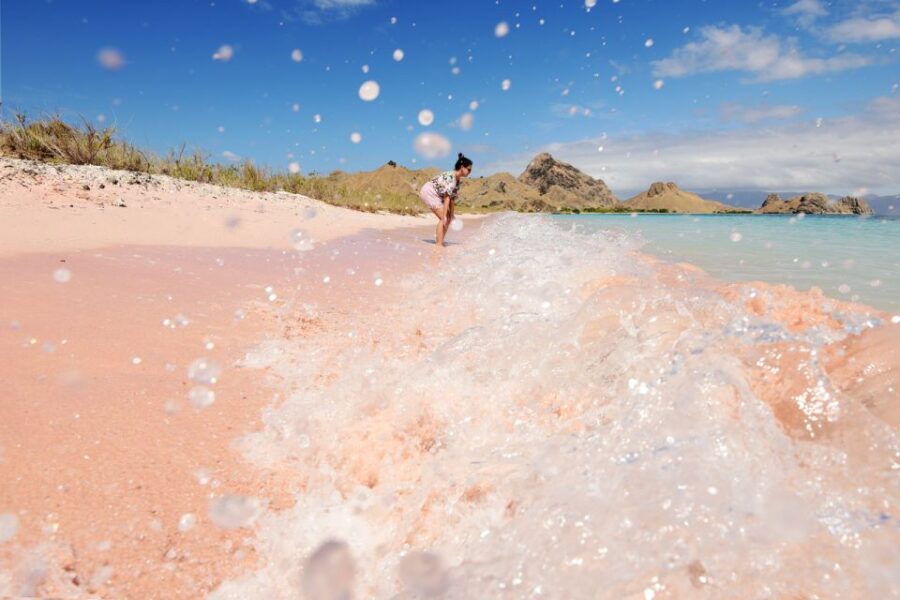 Komodo Island: Komodo Dragons & Islands Day Tour