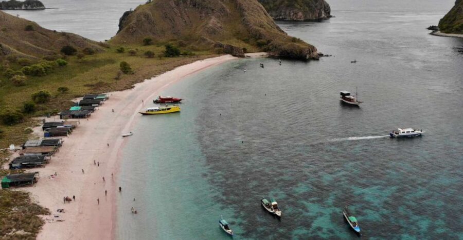 Komodo Island Tour 2Days 1Night