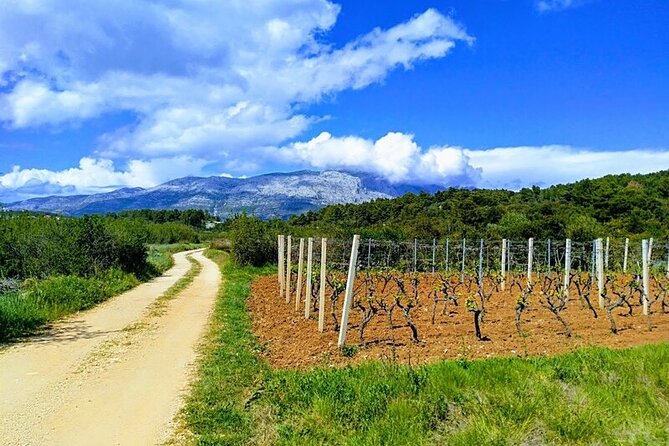Korcula Bike & Wine Tour - Overview of the Tour