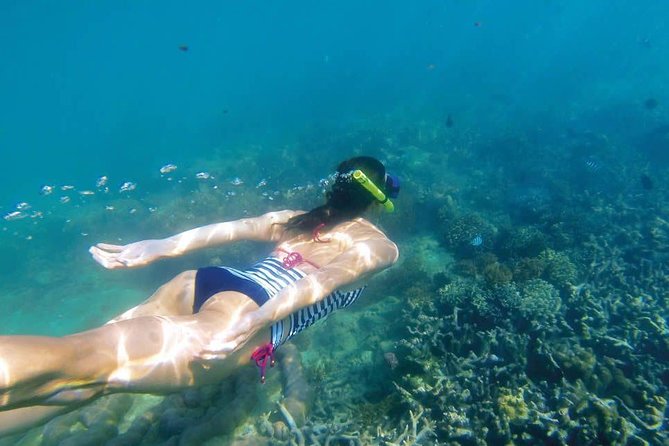 Kornati Islands Snorkeling Excursion From Zadar