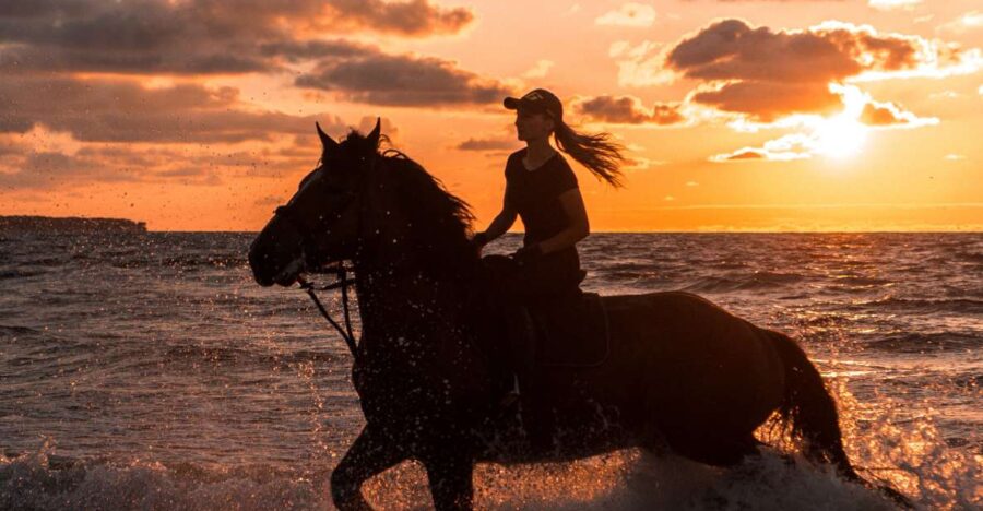 Kos: Horse Riding Experience on the Beach With Instructor