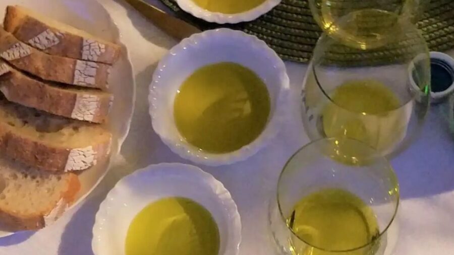 Kos Olive Oil Tasting & Farm Experience