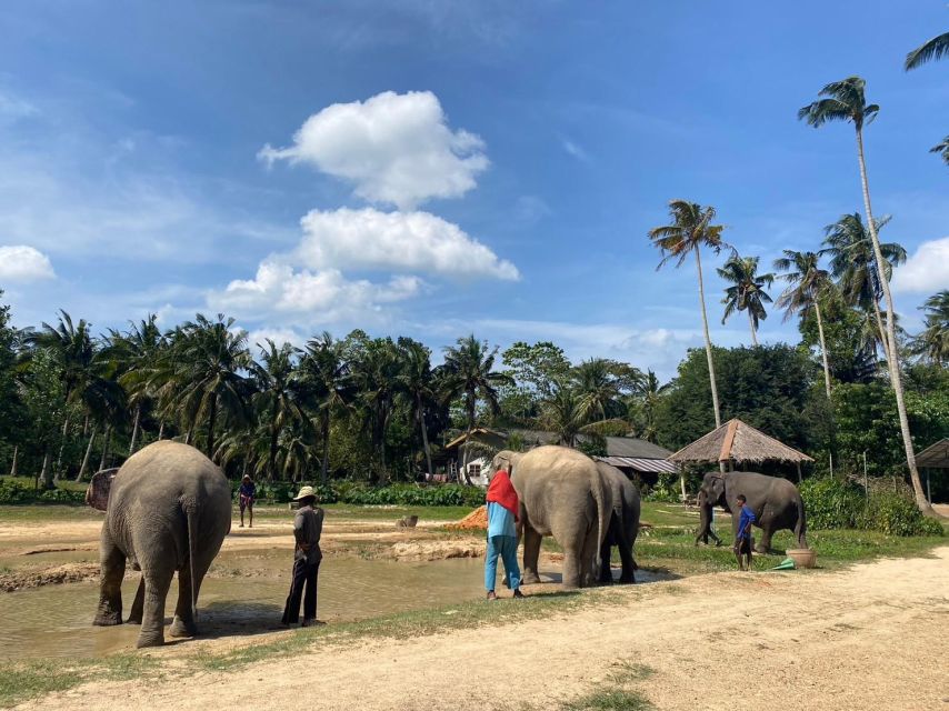 Krabi: Elephant Bathing and Huay Tho Waterfall Day Trip - Tour Overview and Pricing