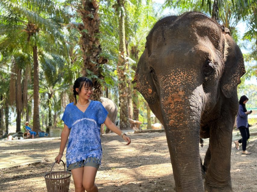 Krabi: Elephant Bathing Session at Krabi Elephant Shelter