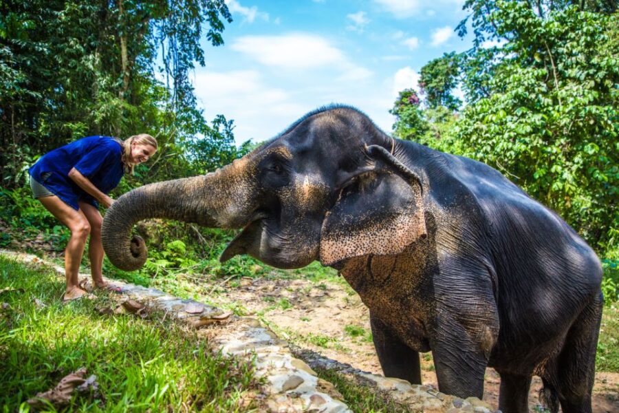 Krabi: Ethical Elephant Sanctuary Experience