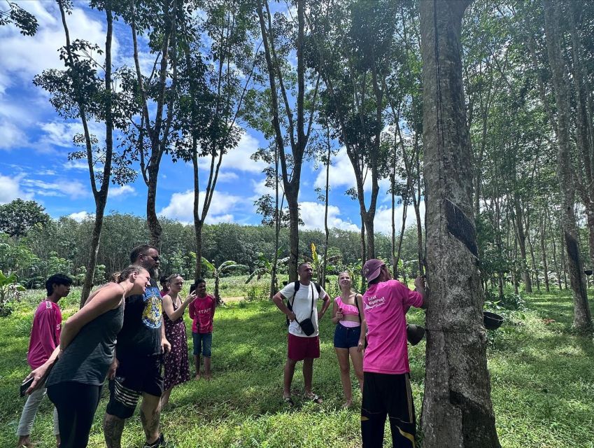 Krabi: Klong Root Kayaking Viewpoint,Fish Feeding and More