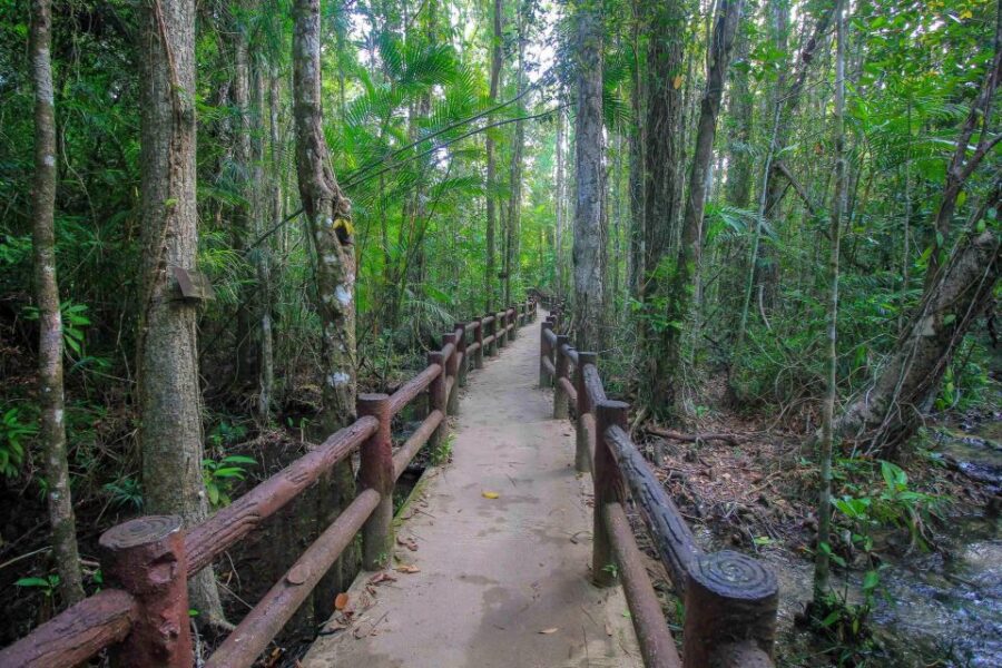 Krabi Outback Explorer With Visit of Tiger Cave Temple