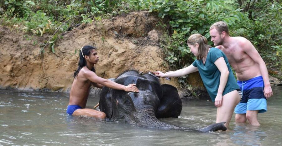 Krabi: Tour of Elephant Care House and Tiger Cave Temple - Activity Overview